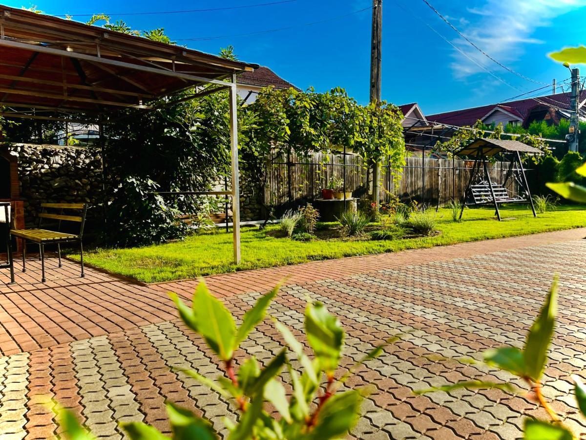 Casa Topazz Târgu Jiu エクステリア 写真