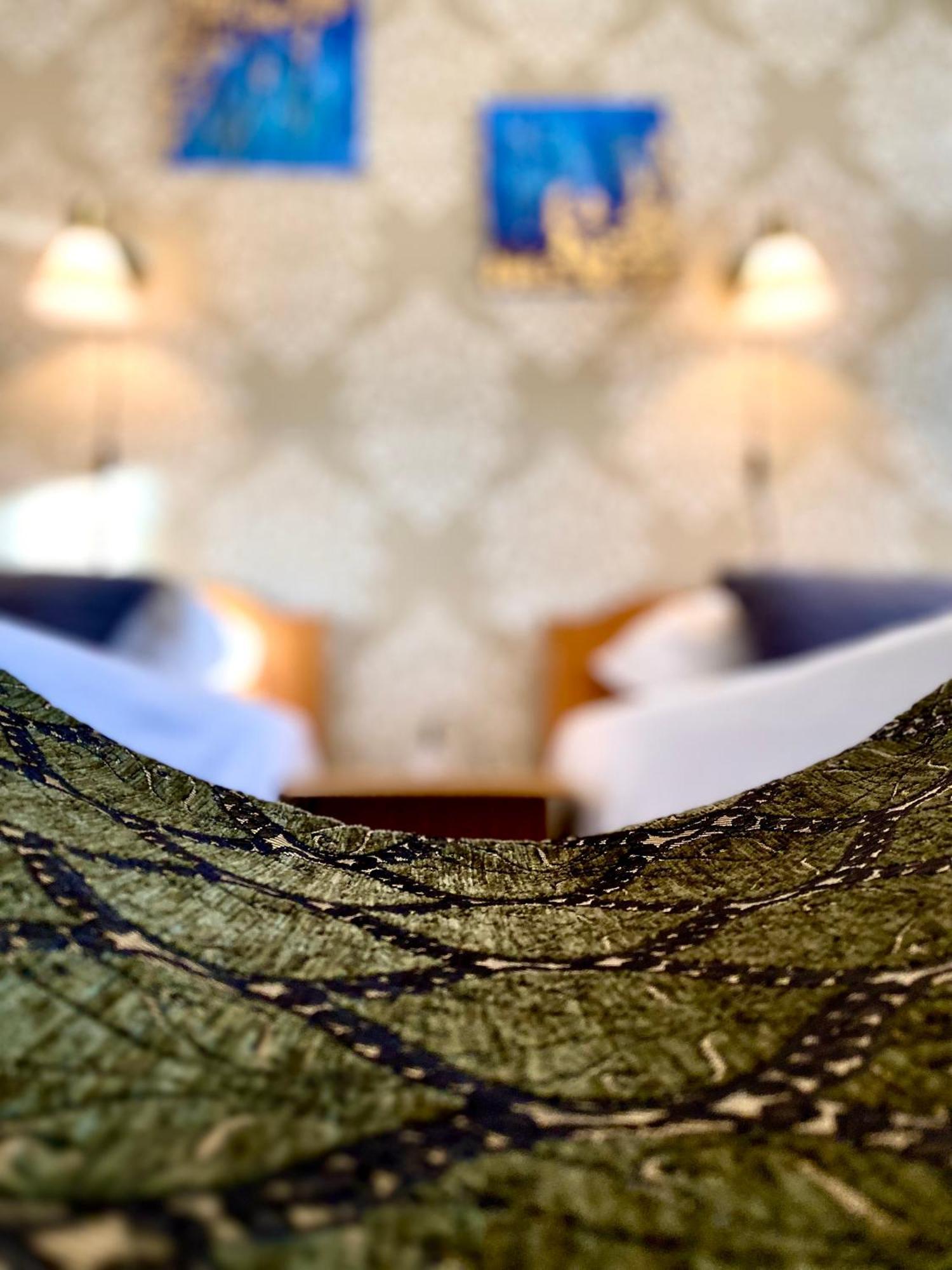 Casa Topazz Târgu Jiu エクステリア 写真